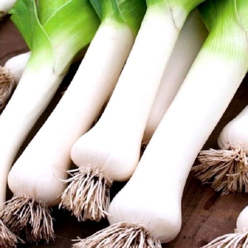 Por Tango nasiona 1g