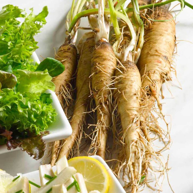 Salsefia nasiona 11.jpg