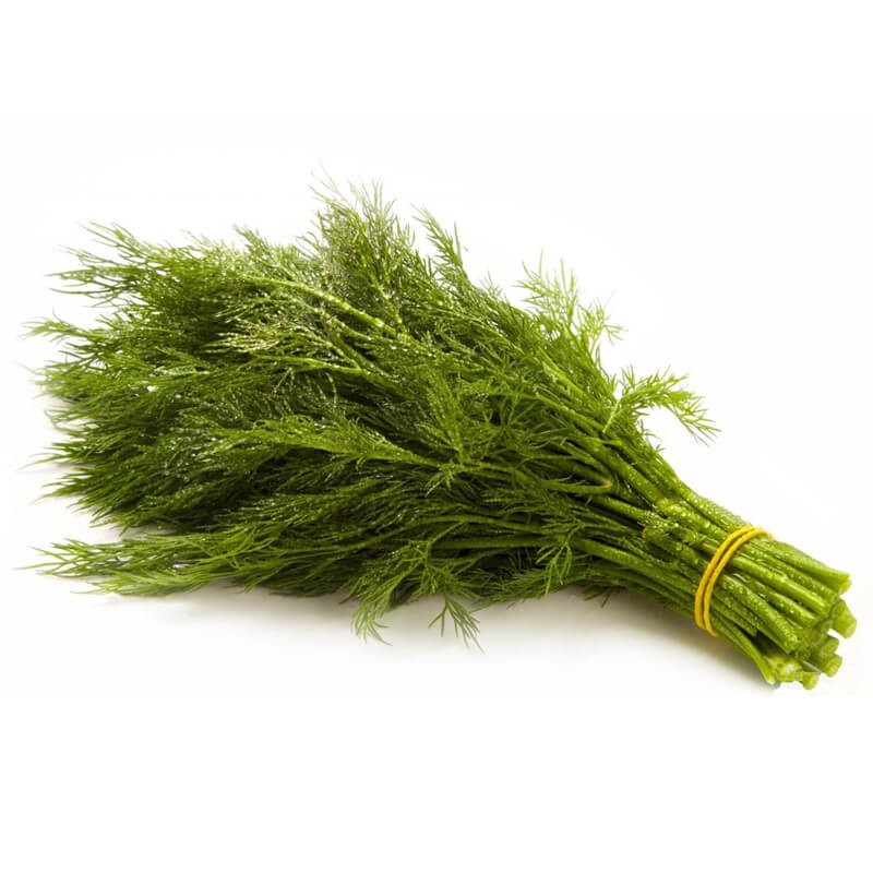 Koper Ogrodowy Moravan nasiona 2.jpg