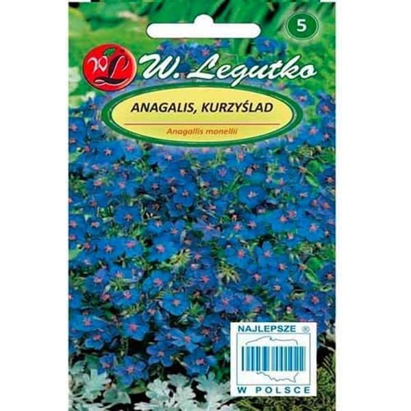 Anagalis, Kurzyślad nasiona 0,1g (2).jpg