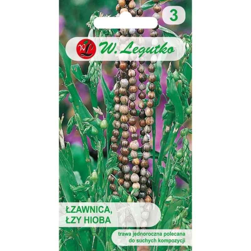 Łzawica łzy hioba nasiona 3g (2).jpg