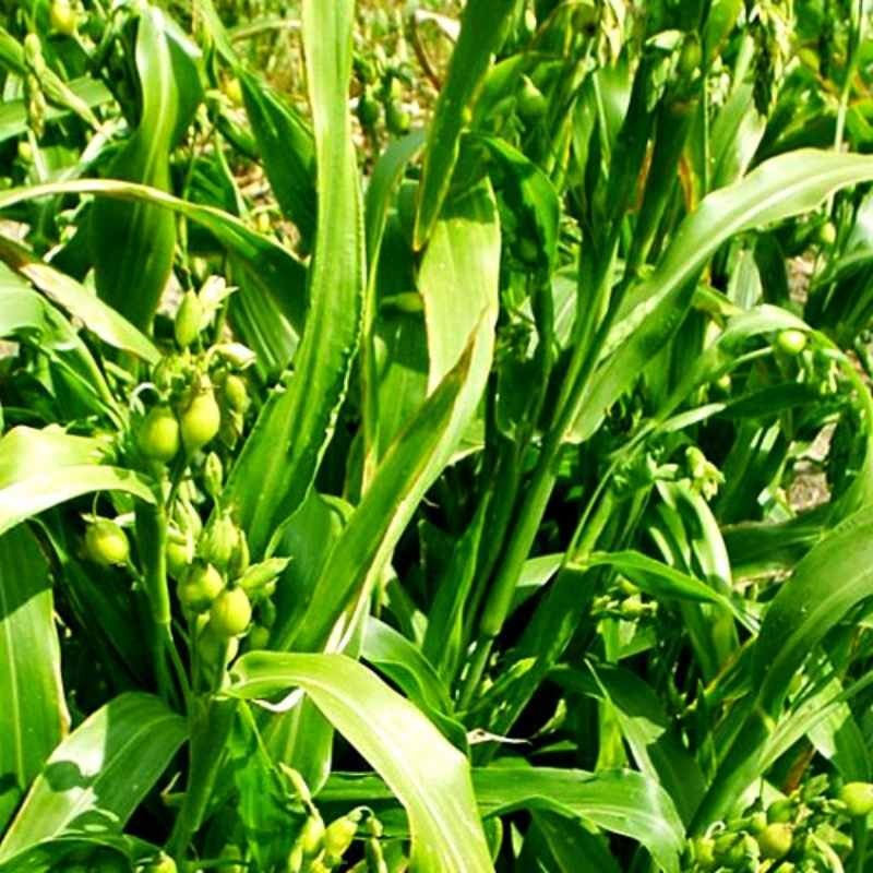 Projekt bez nazwy (3).jpg