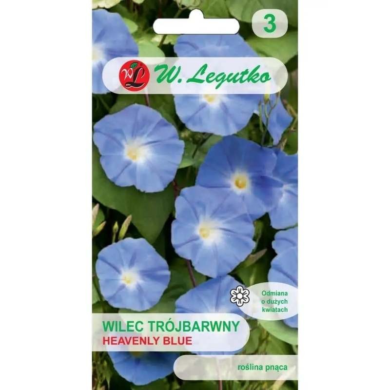 Wilec heavenly blue niebiańskie pnącze nasiona 2g (2).jpg