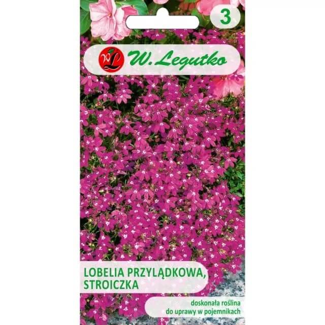 Lobelia przylądkowa, Stroiczka karminowoczerwona nasiona 0,1g (2).jpg