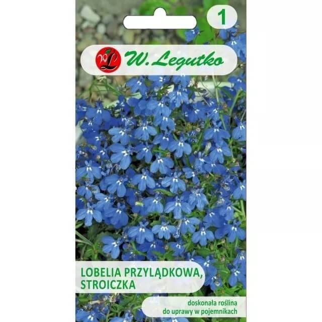 Lobelia przylądkowa, Stroiczka niebieska nasiona 0,2g (3).jpg