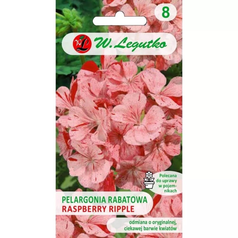 Pelargonia Raspbery Ripple nasiona 0,03g (1).jpg