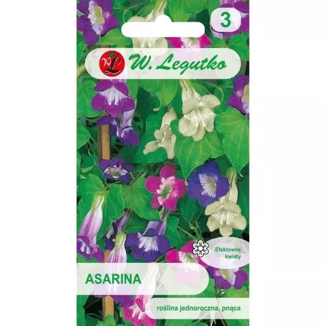 Asarina nasiona 0,03g (2).jpg