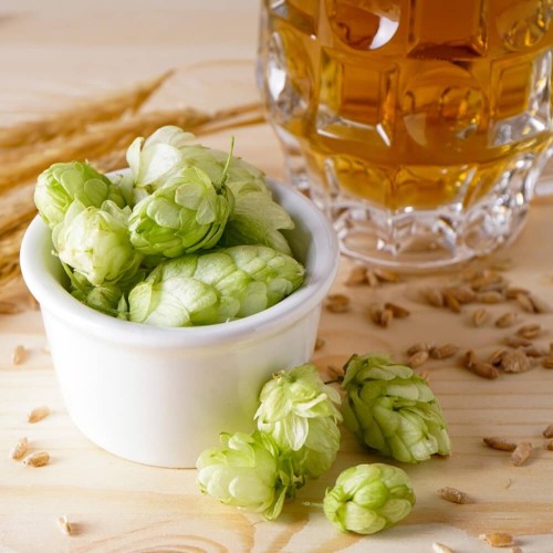 Chmiel Japoński pnącze nasiona 0,3g