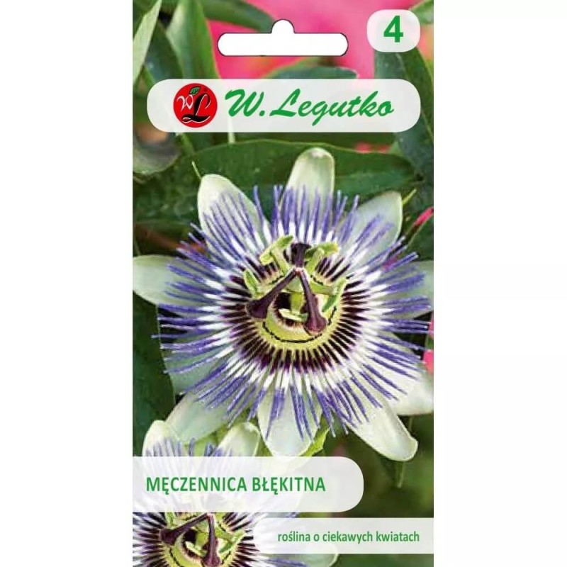 Męczennica Passiflora nasiona 0,2g (2).jpg