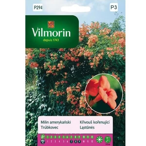 Milin Amerykański Pnącze nasiona 0,3g (1).jpg