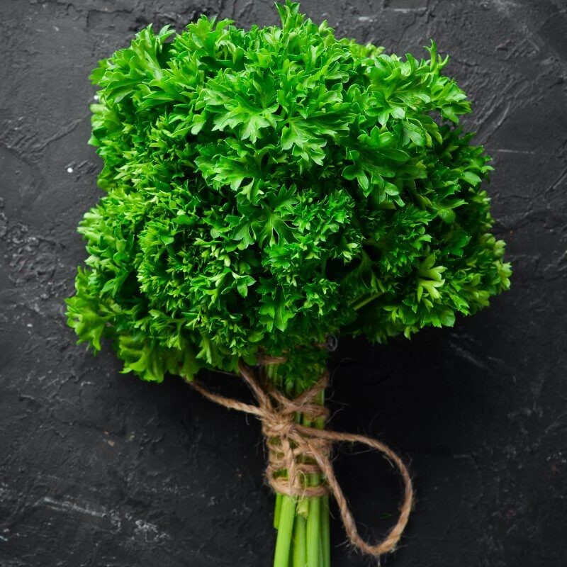 bio-pietruszka-naciowa-moss-curled.jpg