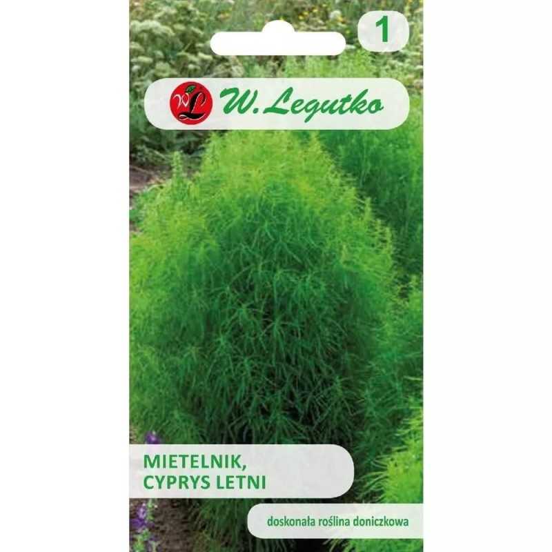 Mietelnik (Kochia scoparia) nasiona 1g (3).jpg