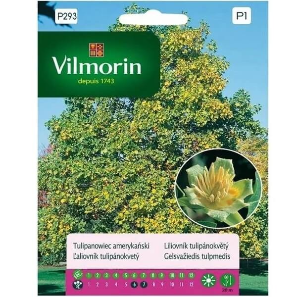 Tulipanowiec (Liriodendron tulipifera) nasiona 0,3g (1).jpg