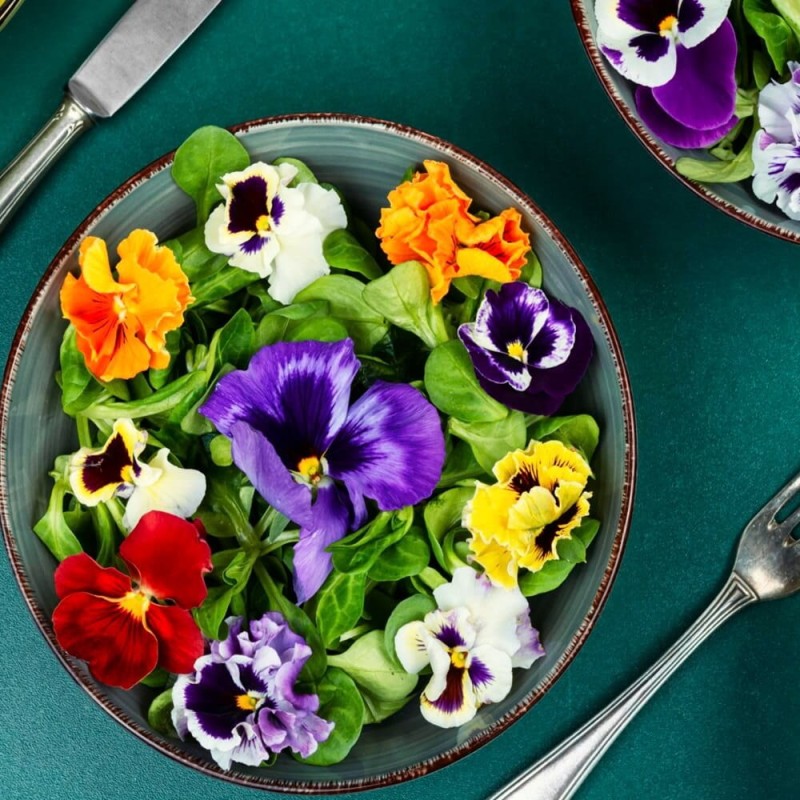 Kwiaty jadalne - Bratek wielkokwiatowy mieszanka nasion 0,5g (2).jpg