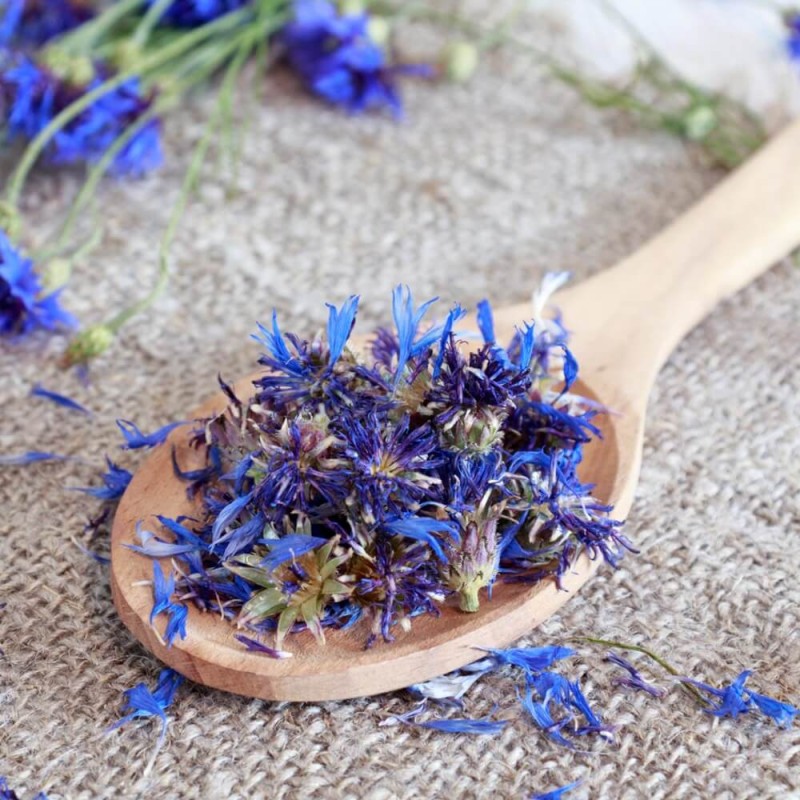 Kwiaty jadalne - Chaber bławatek niebieski nasiona 1g (1).jpg