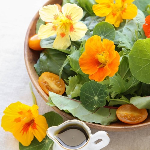 Kwiaty jadalne - Nasturcja niska Tom Thumb mieszanka nasion5g