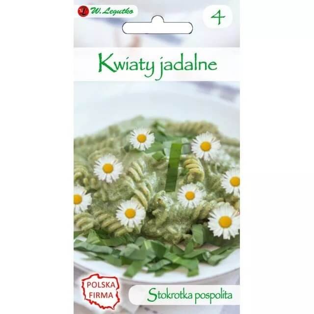 Kwiaty jadalne - Stokrotka pospolita biała nasiona 0,2g.jpg