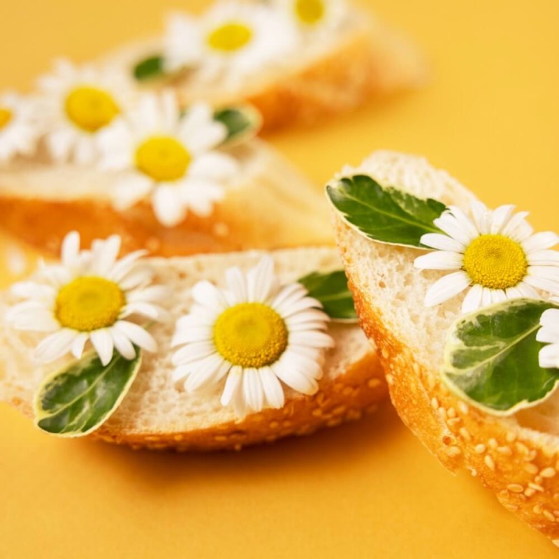 Kwiaty jadalne - Stokrotka pospolita biała nasiona 0,2g (5).jpg