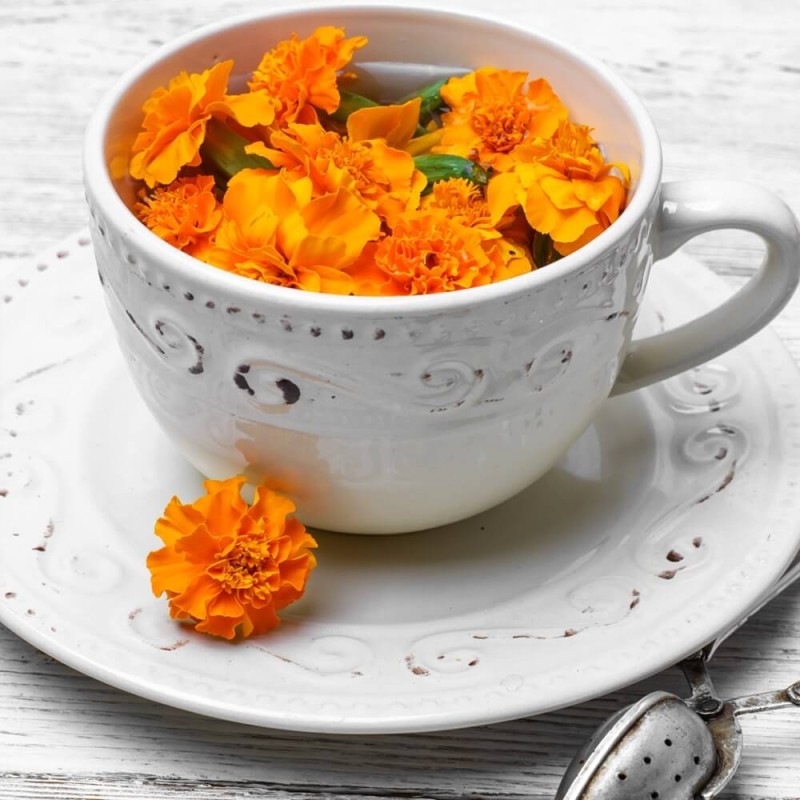 Kwiaty jadalne - Aksamitka rozpierzchła mieszanka nasion 1g (2).jpg