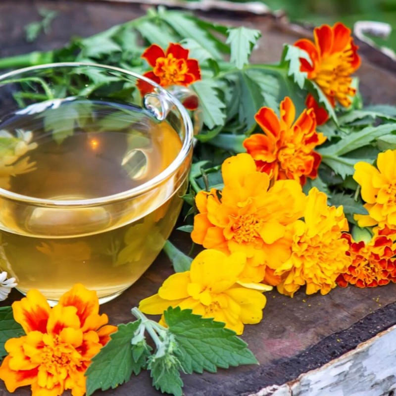 Kwiaty jadalne - Aksamitka rozpierzchła mieszanka nasion 1g (3).jpg