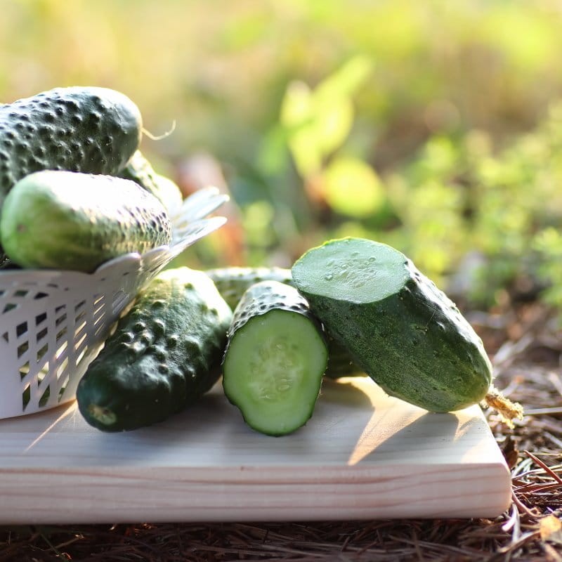 bio-ogorek-gruntowy-salatkowy.jpg
