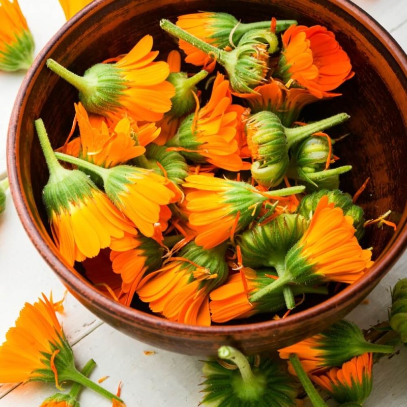 Kwiaty jadalne - Nagietek lekarski nasiona 3g (3).jpg