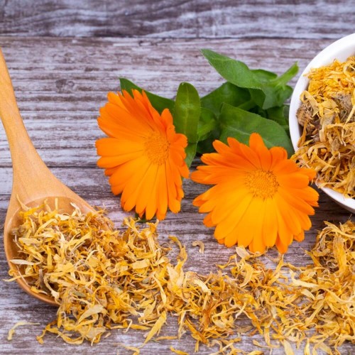 Kwiaty jadalne - Nagietek lekarski pomarańczowy nasiona 3g