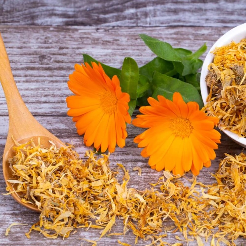 Kwiaty jadalne - Nagietek lekarski nasiona 3g (1).jpg