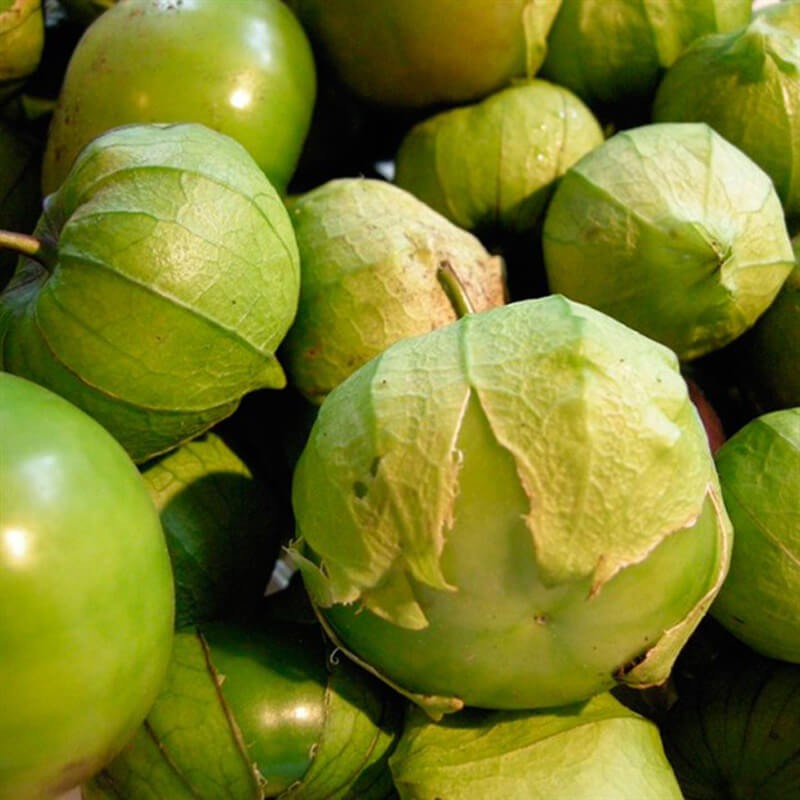 Miechunka POMIDOROWA nasiona (3).jpg