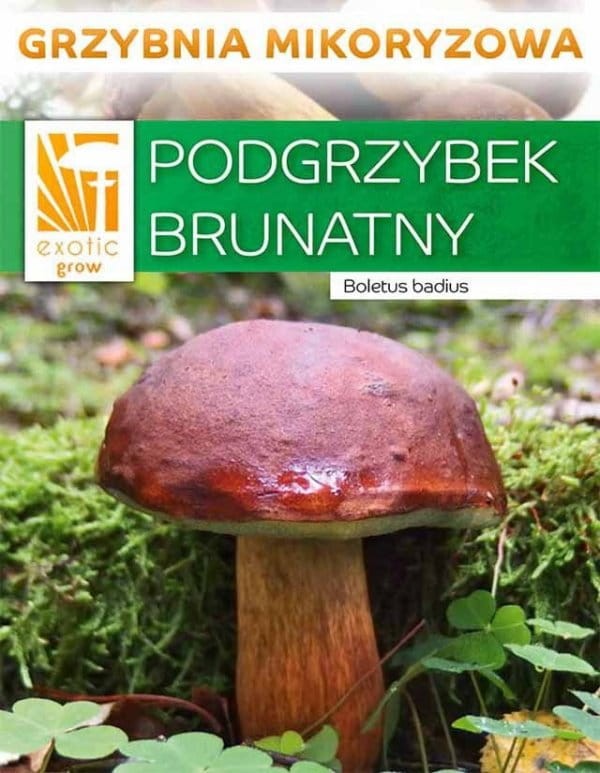 Podgrzybek brunatny opakowanie.jpg