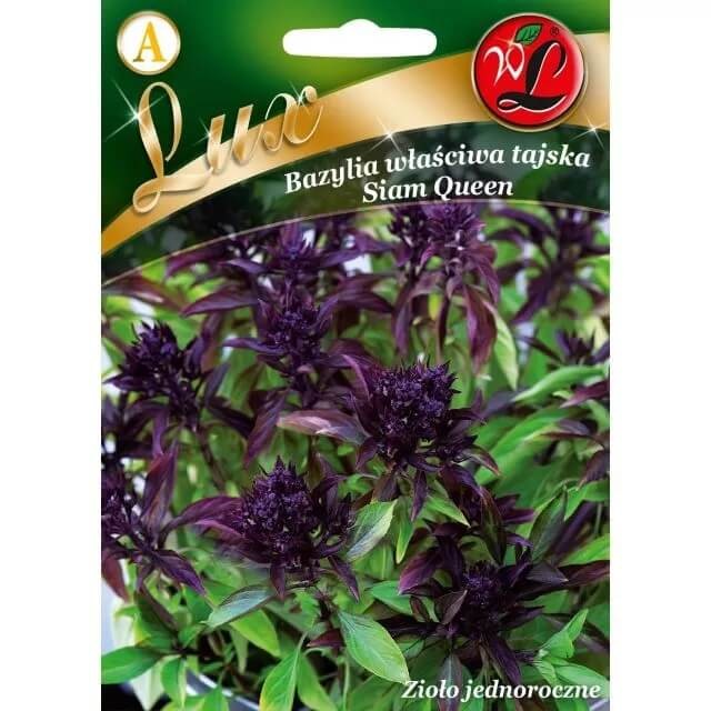 Bazylia właściwa tajska Siam Queen (Ocimum basilicum) nasiona 1g LUX (1).jpg