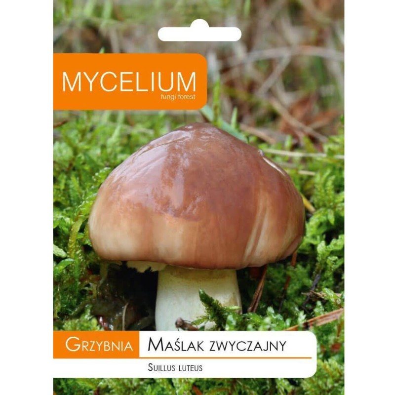 maślak opakowanie.jpeg