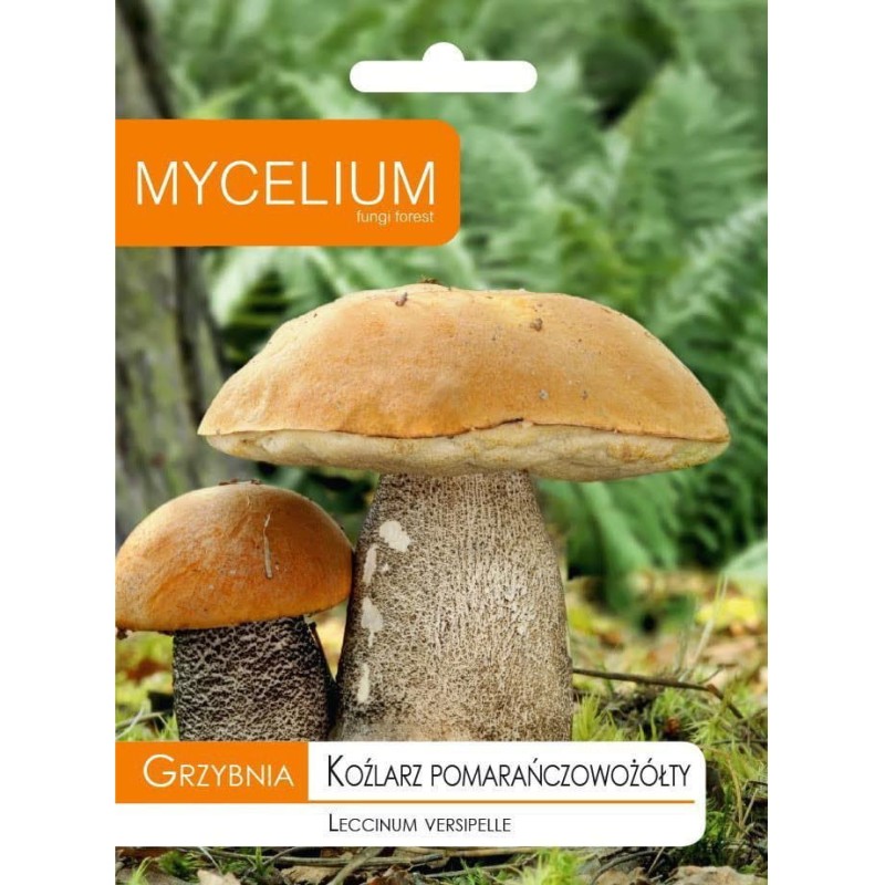 koźlarz pomarańczowo-zółty-opakowanie.JPG