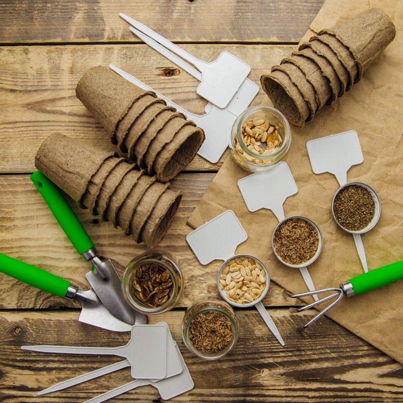 Doniczki torfowe jak wysiewać nasiona