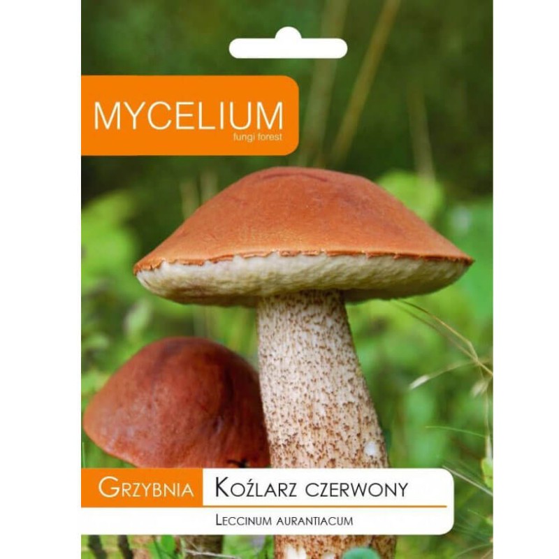 Grzybnia Koźlarz czerwony ziarno 10g opakowanie.jpeg