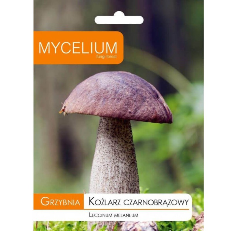 Koźlarz czarno-brązowy opakowanie grzybnia.jpeg