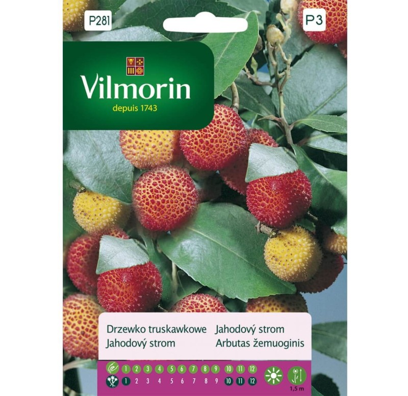 Drzewko truskawkowe (Arbutus unedo) 0,1g (3).jpg