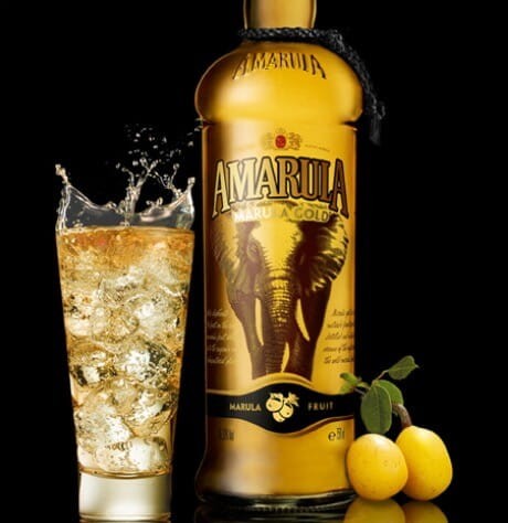 Marula - Drzewo Słoni (Sclerocarya birrea) nasiona (2).jpg