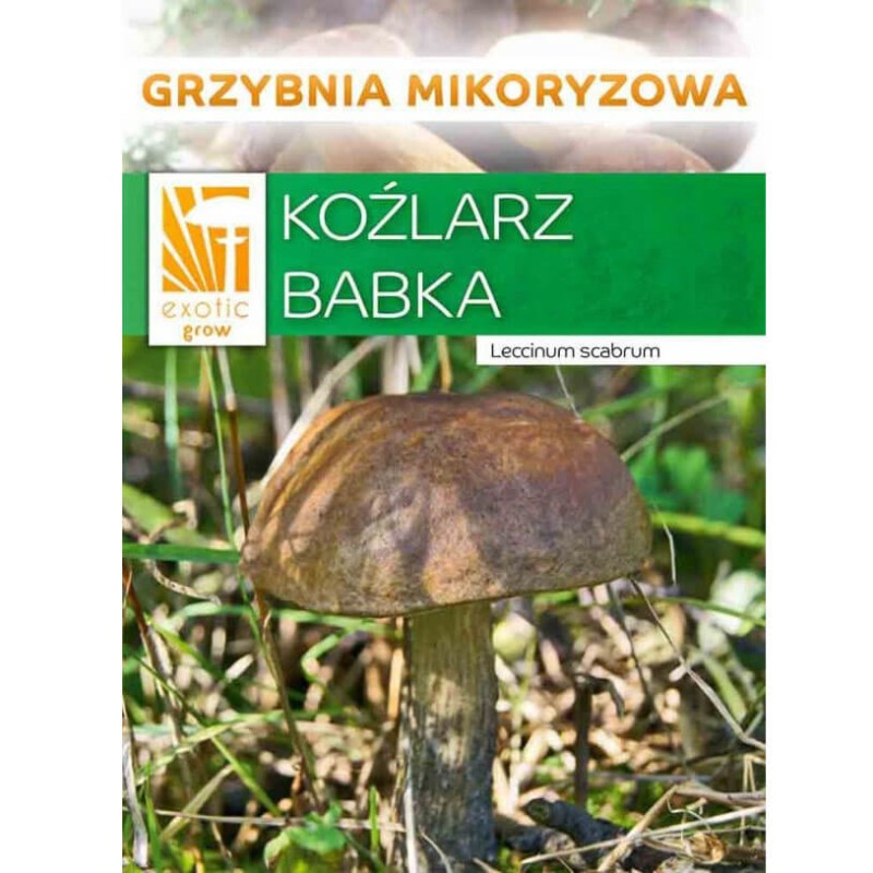 koźlarz babka mikoryza opakowanie.jpeg