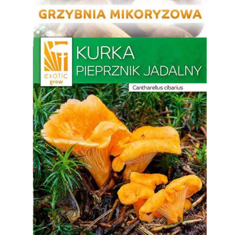 Grzybnia mikoryza kurka opakowanie.jpeg