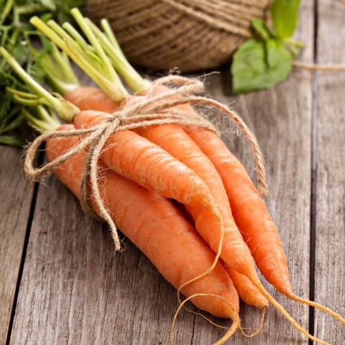 BIO Marchew jadalna NANTAISE 2 nasiona ekologiczne 5g