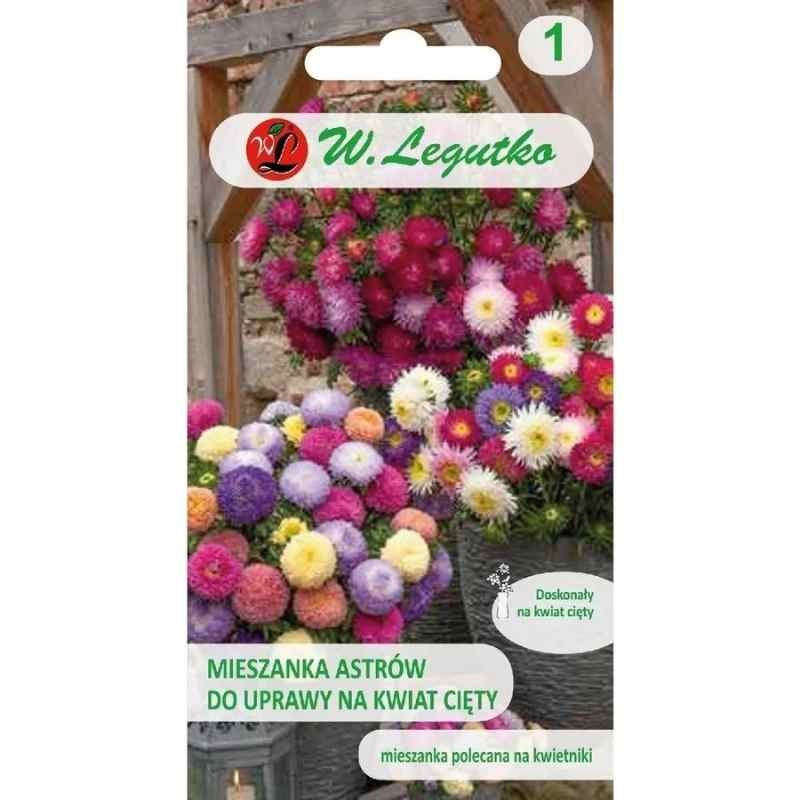 Aster Chiński na kwiat cięty nasiona 1g (2).jpg