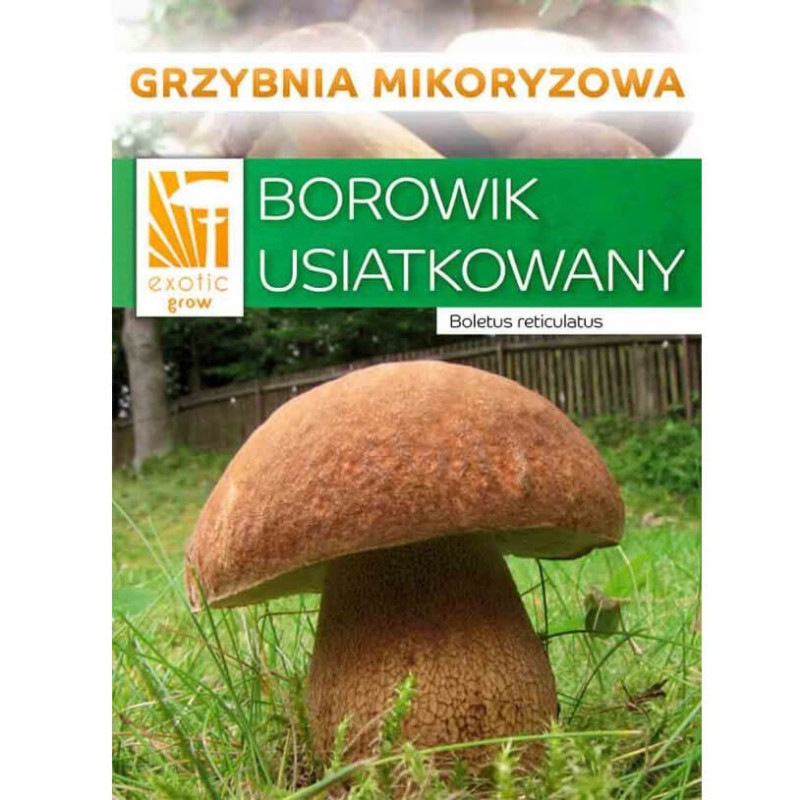 Borowik usiatkowany grzybnia mikoryza opakowanie.jpeg
