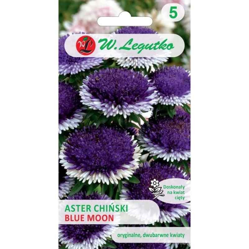Aster Chiński liliput moonshine blue Moon nasiona 0,3g (2).jpg