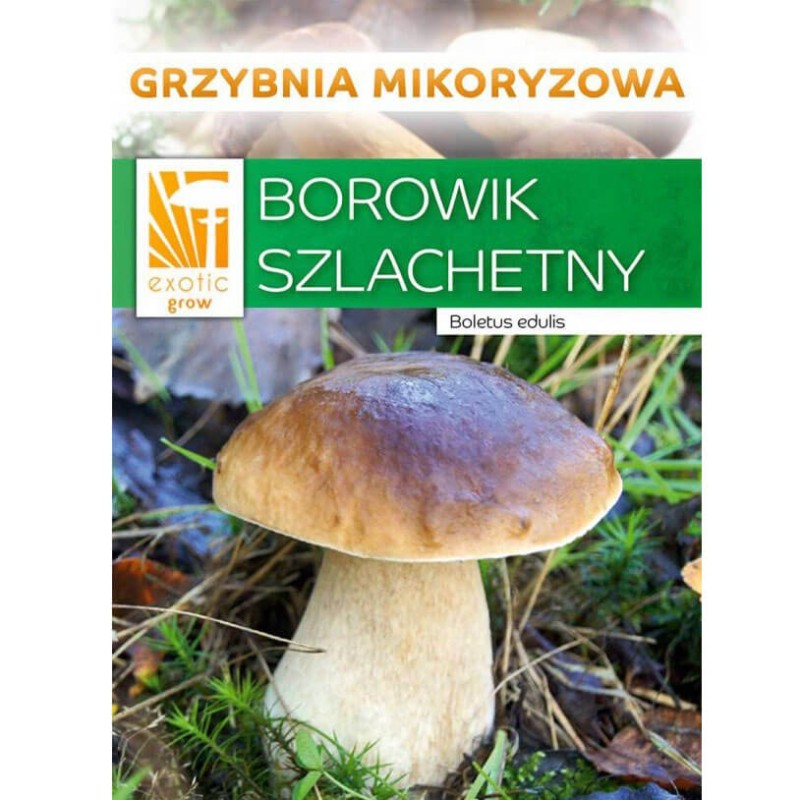 borowik szlachetny grzybnia opakowanie.jpeg
