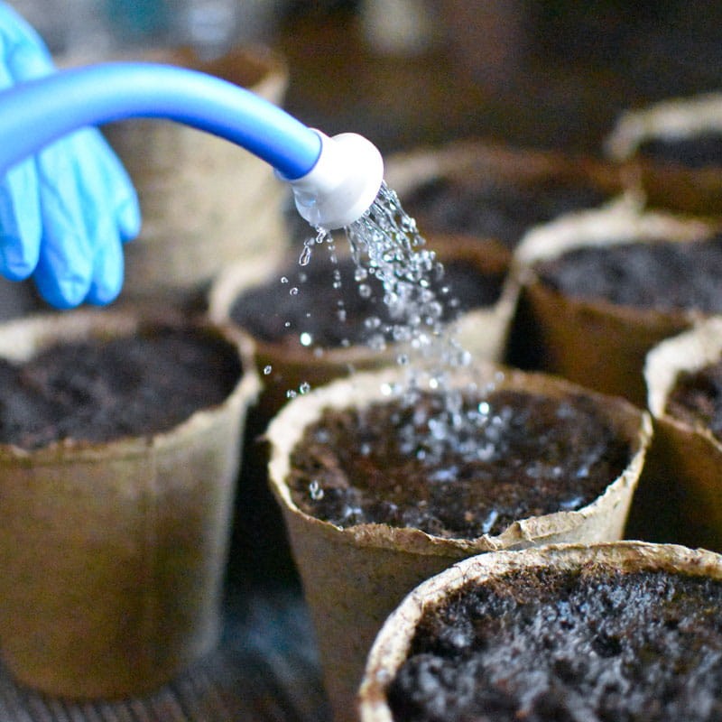 doniczki rozkładające się w ziemi gdzie kupić