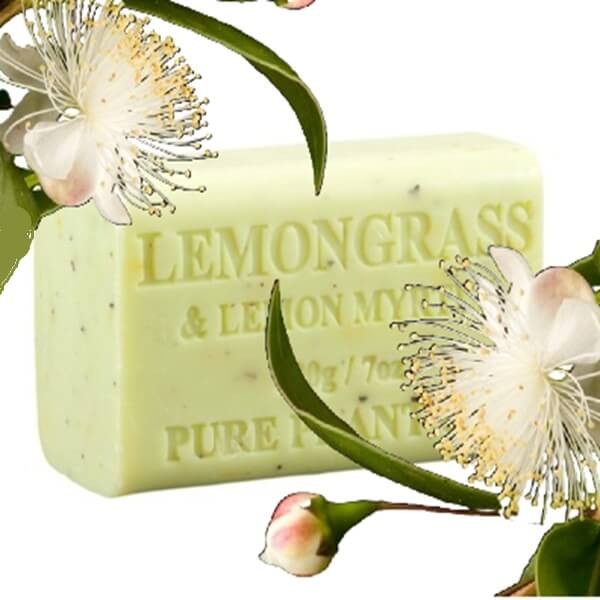 Mirt Cytrynowy (Backhousia citriodora) nasiona (3).jpg