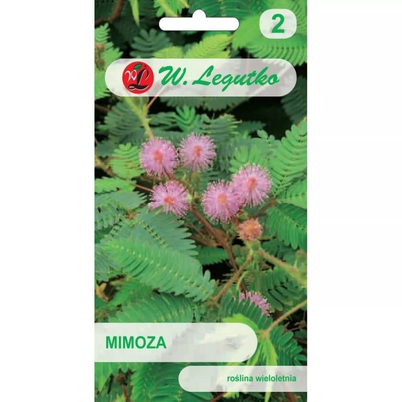 Mimoza Tańczący Kwiat (Mimosa) nasiona 0,2g (2).jpg