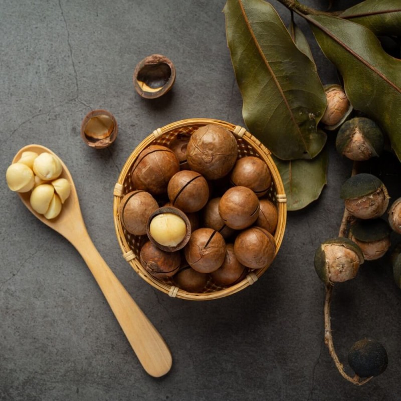 Orzech Makadamia (Macadamia) nasiona (1).jpg