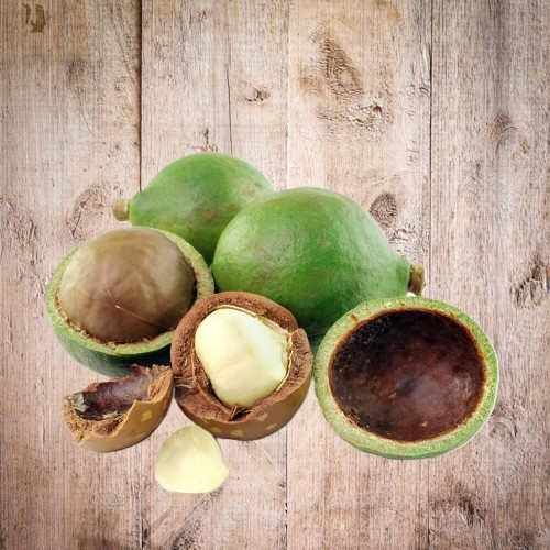 Orzech Makadamia nasiona